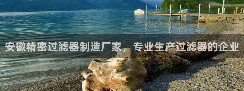 下载彩神通关注金码：安徽精密过滤器制造厂家，专业生产过滤器的企业