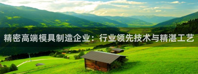 彩神8彩平台官网：精密高端模具制造企业：行业领先技术与精湛工艺
