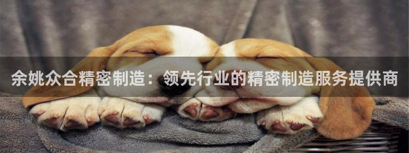 彩神ix能赚钱吗：余姚众合精密制造：领先行业的精密制造服务提供商