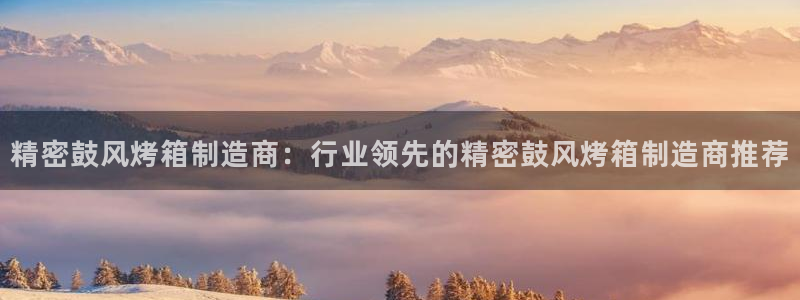 彩神v8平台正规吗安全吗：精密鼓风烤箱制造商：行业领先的精密鼓风烤箱制造商推荐