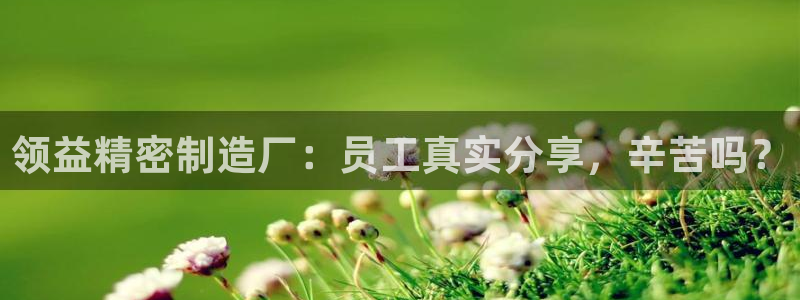 彩神正规吗：领益精密制造厂：员工真实分享，辛苦吗？