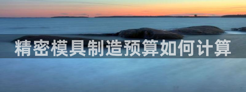 彩神vi争霸官网：精密模具制造预算如何计算