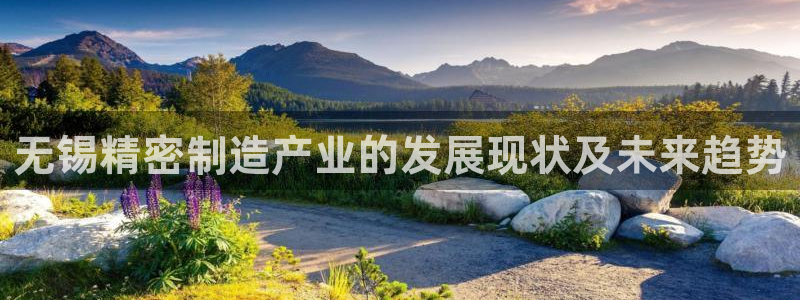 彩神vi争霸官网：无锡精密制造产业的发展现状及未来趋势