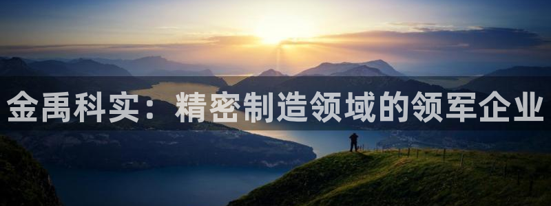 彩神购彩-购彩大厅入口老版：金禹科实：精密制造领域的领军企业