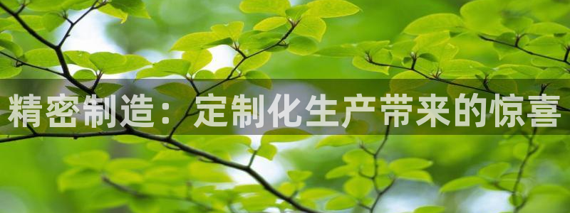 彩神vip购彩大厅下载：精密制造：定制化生产带来的惊喜