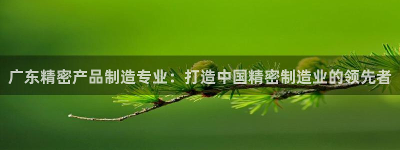 彩神天下专家专栏：广东精密产品制造专业：打造中国精密制造业的领先者
