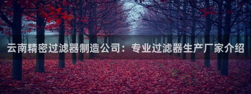 彩神ix平台：云南精密过滤器制造公司：专业过滤器生产厂家介绍