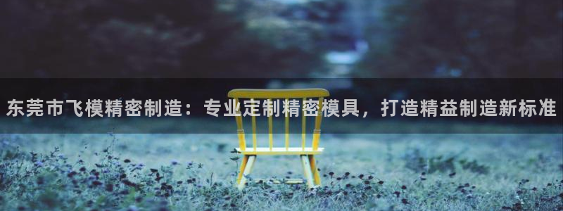 彩神怎么样可以提现：东莞市飞模精密制造：专业定制精密模具，打造精益制造新标准