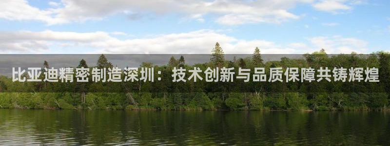 彩神v8下载网址：比亚迪精密制造深圳：技术创新与品质保障共铸辉煌