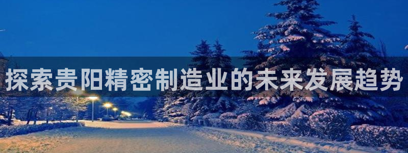 彩神V集团公司：探索贵阳精密制造业的未来发展趋势