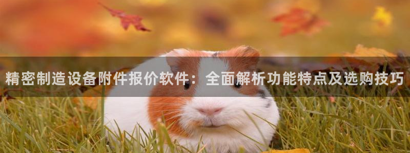 彩神v8是真的挣钱吗知乎：精密制造设备附件报价软件：全面解析功能特点及选购技巧