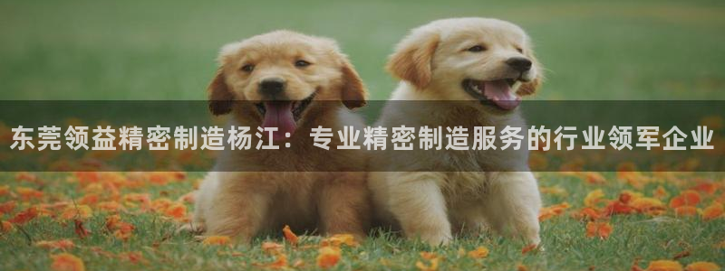 彩神v8购彩大厅登：东莞领益精密制造杨江：专业精密制造服务的行业领军企业