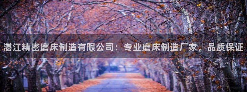 彩神赢的钱是哪里来的啊：湛江精密磨床制造有限公司：专业磨床制造厂家，品质保证