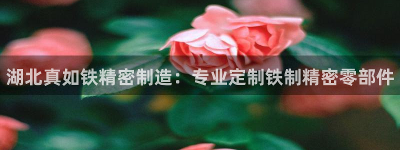 彩神大发云：湖北真如铁精密制造：专业定制铁制精密零部件