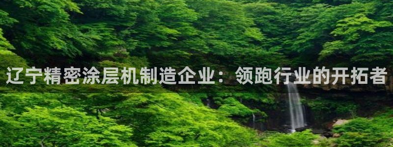 彩神怎么样可以提现：辽宁精密涂层机制造企业：领跑行业的开拓者