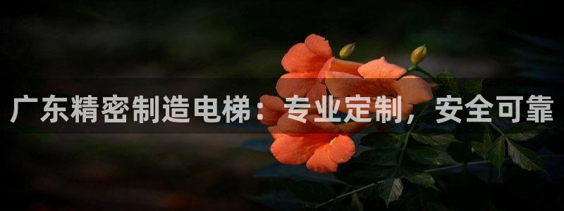 彩神平台是什么套路