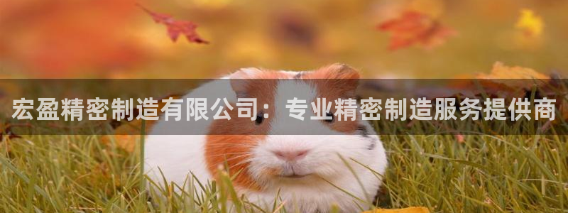 彩神v天天