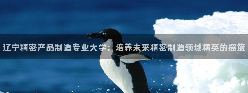 彩神8官网合法吗