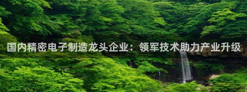 新版彩神v8登录不了