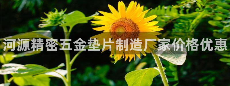 所有彩神购买首页