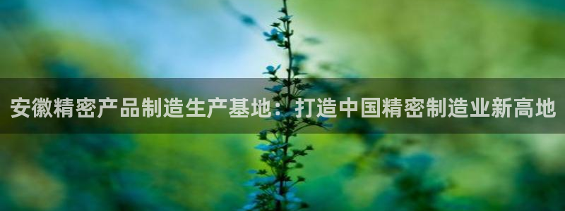 彩神v8下载