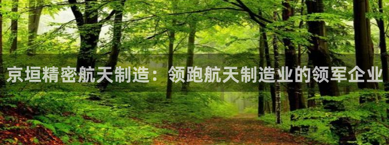彩神v8手机客户端