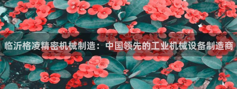 彩神v彩搜狗：临沂格凌精密机械制造：中国领先的工业机械设备制造商