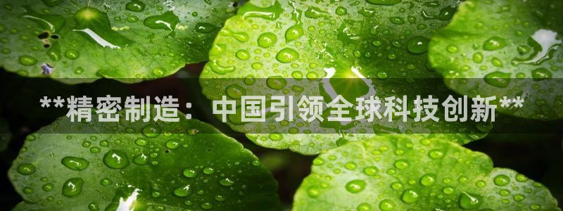 彩神Vll购彩大厅