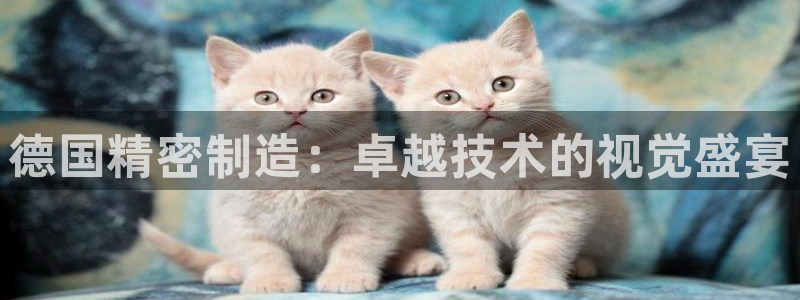 彩神vll官网在线登录