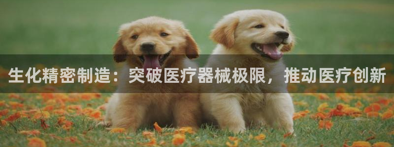 彩神v8是一个什么平台啊