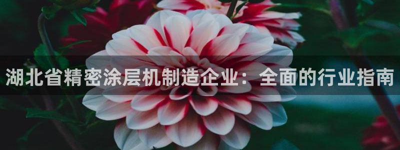 彩神赢的钱是哪里来的啊