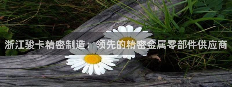 彩神8官网版