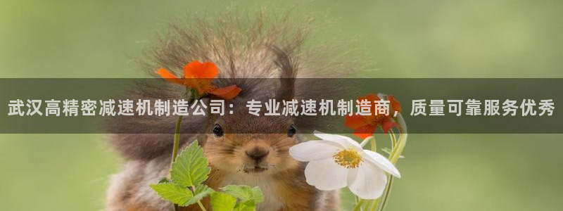 彩神vip购彩大厅