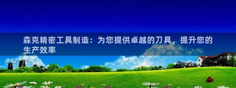 彩神是什么平台的游戏：森克精密工具制造：为您提供卓越的刀具，提升您的
生产效率