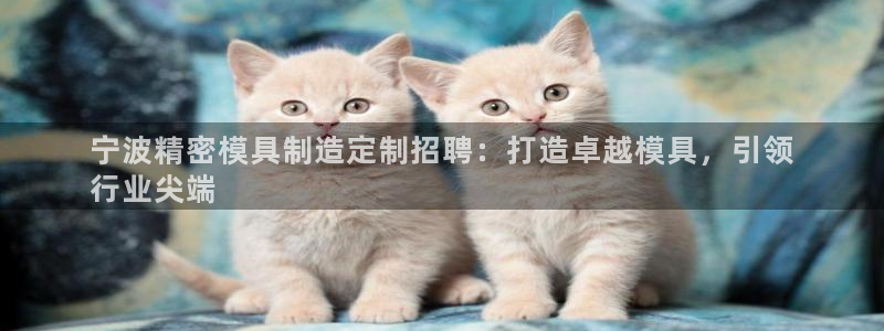 彩神8是正规平台吗是正品吗：宁波精密模具制造定制招聘：打造卓越模具，引领
行业尖端