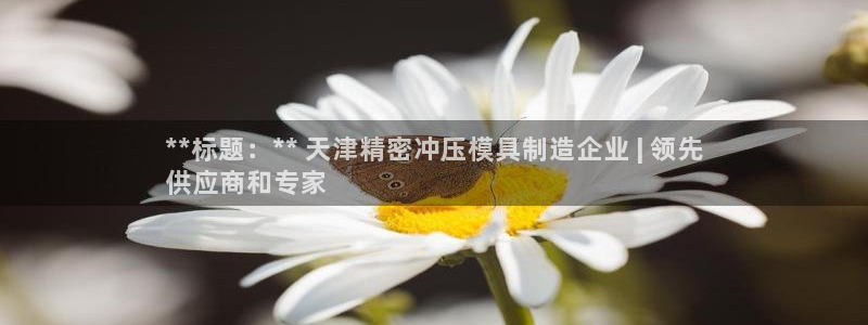新版彩神v8登录不了：**标题：** 天津精密冲压模具制造企业 | 领先
供应商和专家