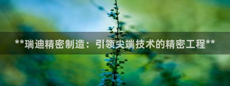 彩神v8官网版：**瑞迪精密制造：引领尖端技术的精密工程**