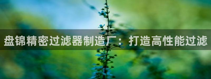 彩神8是正规平台吗知乎：盘锦精密过滤器制造厂：打造高性能过滤