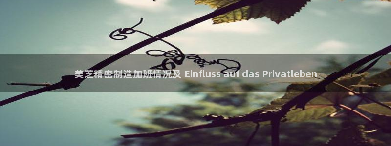 彩神官方登录：美芝精密制造加班情况及 Einfluss auf das Privatleben