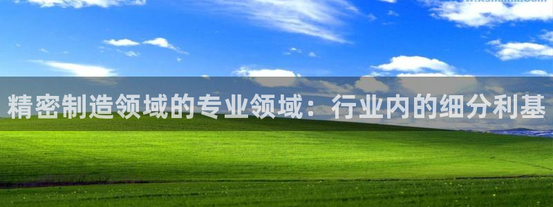 彩神购彩-购彩大厅入口娱乐首选：精密制造领域的专业领域：行业内的细分利基