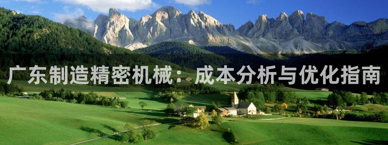 彩神v下载安装：广东制造精密机械：成本分析与优化指南