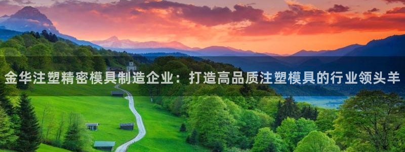 彩神官方网站登录是多少：金华注塑精密模具制造企业：打造高品质注塑模具的行业领头羊