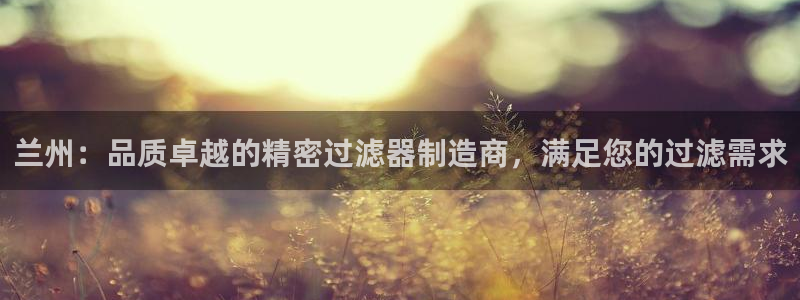 大发彩神最高邀请码：兰州：品质卓越的精密过滤器制造商，满足您的过滤需求