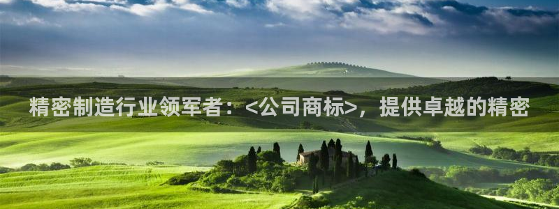 新版彩神v8登录：精密制造行业领军者：<公司商标>，提供卓越的精密
