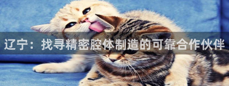 v大发彩神8iii：辽宁：找寻精密腔体制造的可靠合作伙伴