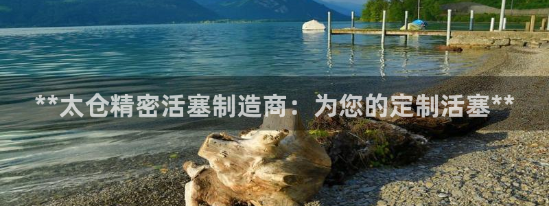 彩神VI首页：**太仓精密活塞制造商：为您的定制活塞**