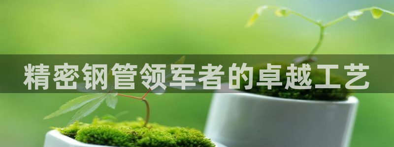 彩神vip购彩大厅：精密钢管领军者的卓越工艺