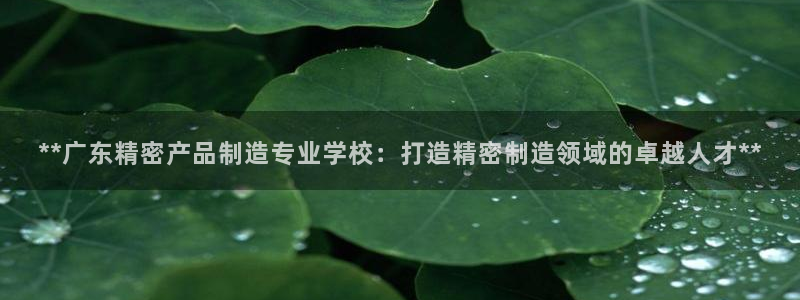 彩神v8iii：**广东精密产品制造专业学校：打造精密制造领域的卓越人才**