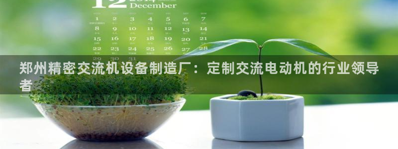 彩神v8是一个什么平台：郑州精密交流机设备制造厂：定制交流电动机的行业领导
者