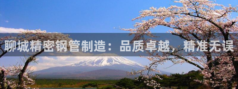 彩神8彩平台客服：聊城精密钢管制造：品质卓越，精准无误